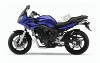 Yamaha fazer 600 hotsell 2006